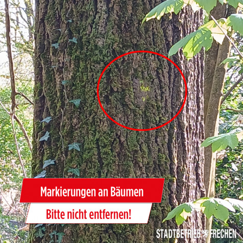 🚧 Entfernung von Baummarkierungen gefährdet die Verkehrssicherheit! 🌳